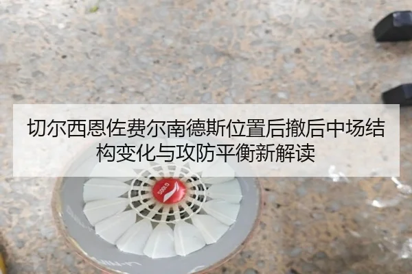 qie-er-xi-en-zuo-fei-er-nan-de-si-wei-zhi-hou-che-hou-zhong-chang-jie-gou-bian-hua-yu-gong-fang-ping-heng-xin-jie-du-2-421.jpg