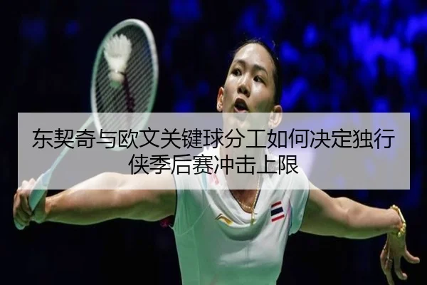 东契奇与欧文关键球分工如何决定独行侠季后赛冲击上限